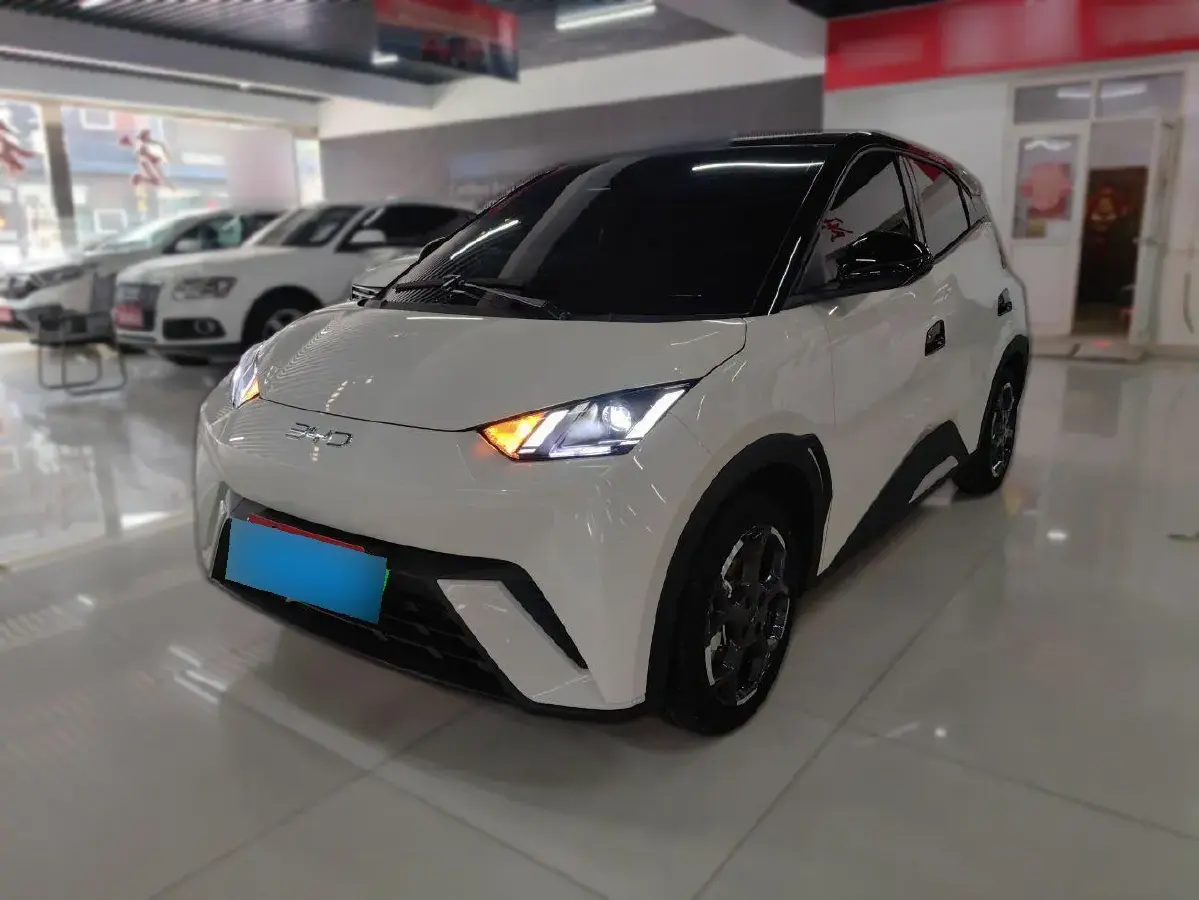 2025 BYD Seagull BEV 30.08KWH