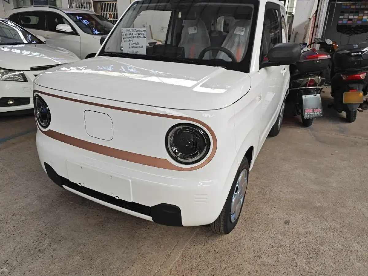 2024 Geely Galaxy Panda BEV 17.03KWH
