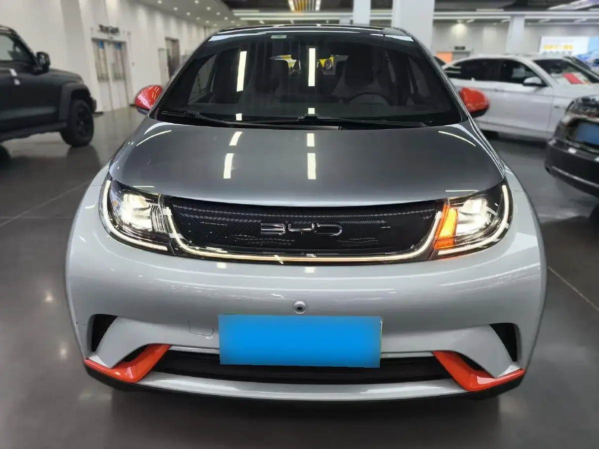2021 BYD Dolphin BEV 44.9KWH