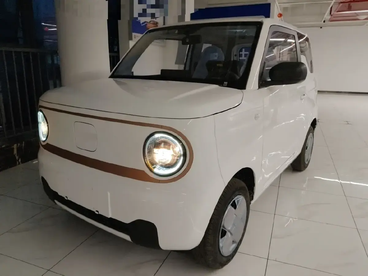 2024 Geely Galaxy Panda BEV 17.03KWH