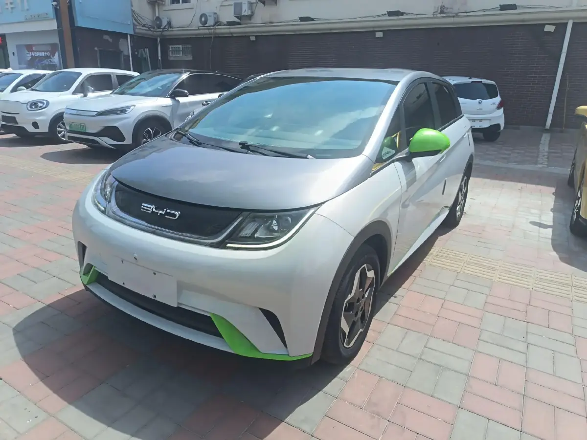 2021 BYD Dolphin BEV 44.9KWH