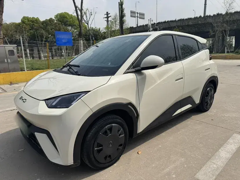 2023 BYD Seagull BEV 30.08KWH
