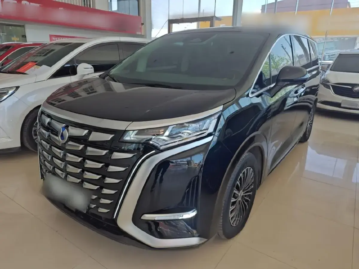 2022 Denza D9 1.5T 139HP L4 E-CVT PHEV 40.06KWH