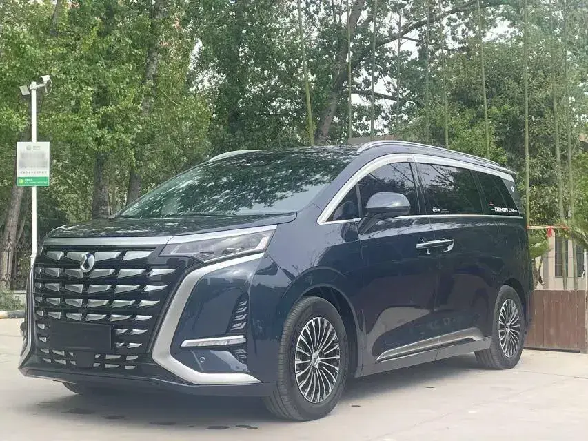 2022 Denza D9 1.5T 139HP L4 E-CVT PHEV 40.06KWH