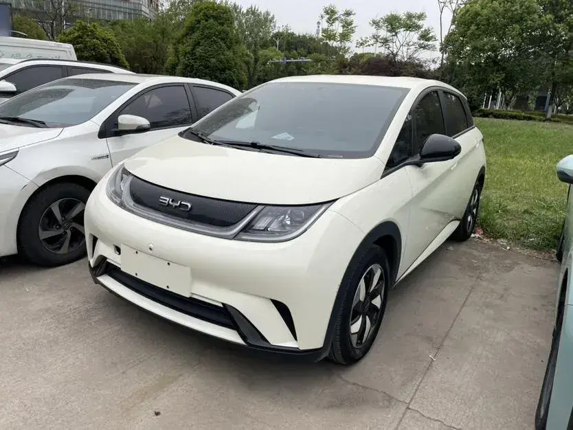 2024 BYD Dolphin BEV 44.928KWH