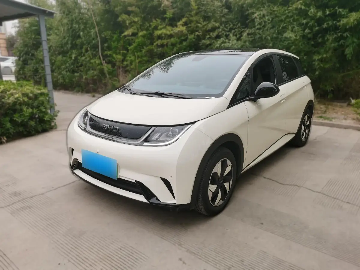 2024 BYD Dolphin BEV 44.928KWH