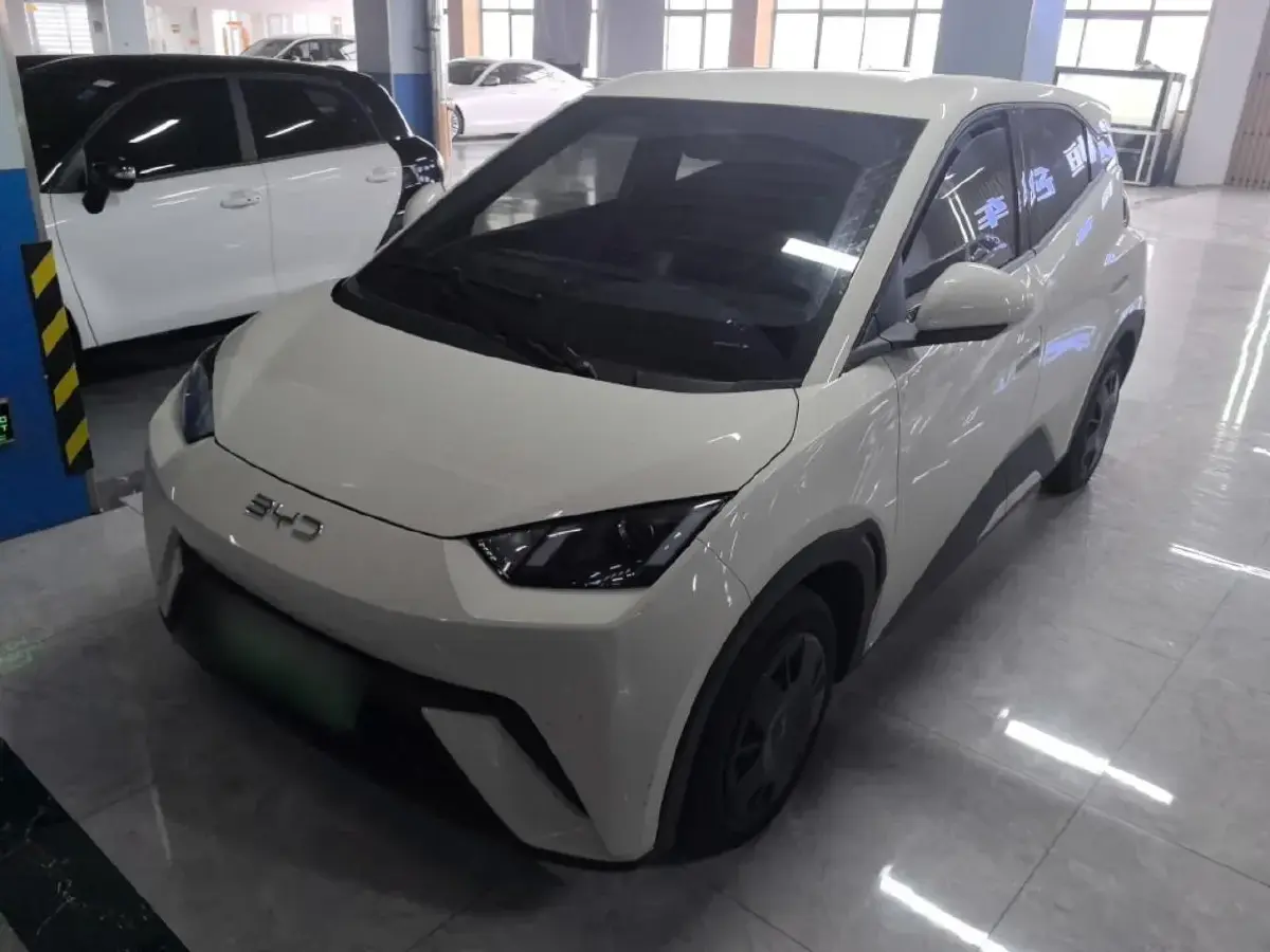 2024 BYD Seagull BEV 30.08KWH