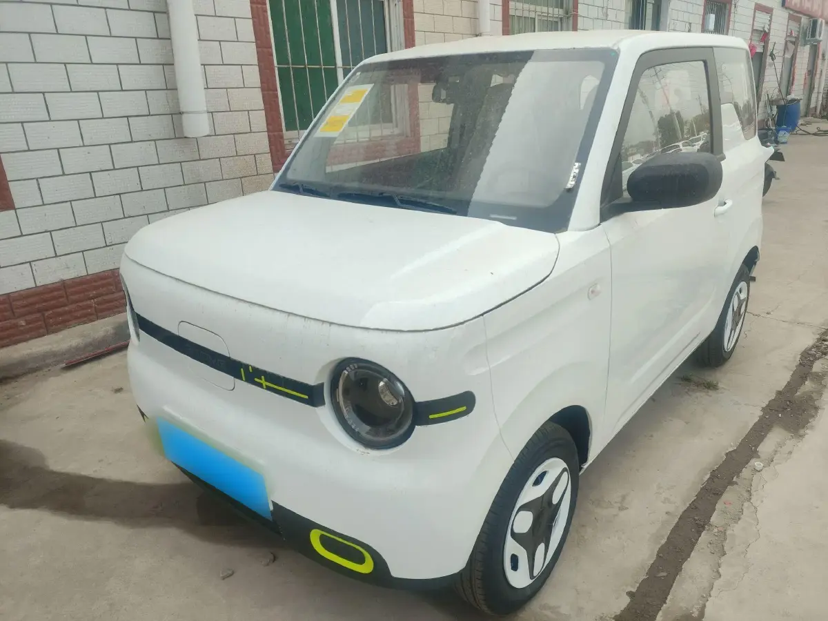 2024 Geely Galaxy Panda BEV 17.03KWH