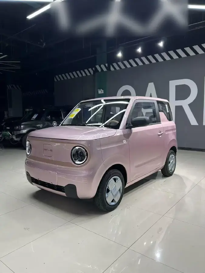 2024 Geely Galaxy Panda BEV 17.03KWH