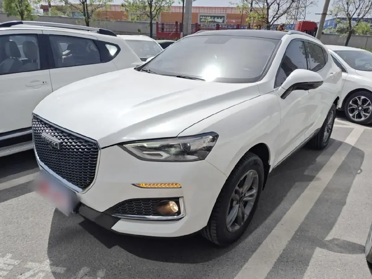 2018 Haval F5 1.5T 169HP L4 7DCT