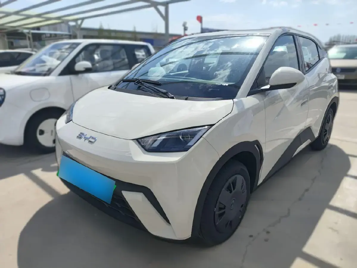 2025 BYD Seagull BEV 30.08KWH