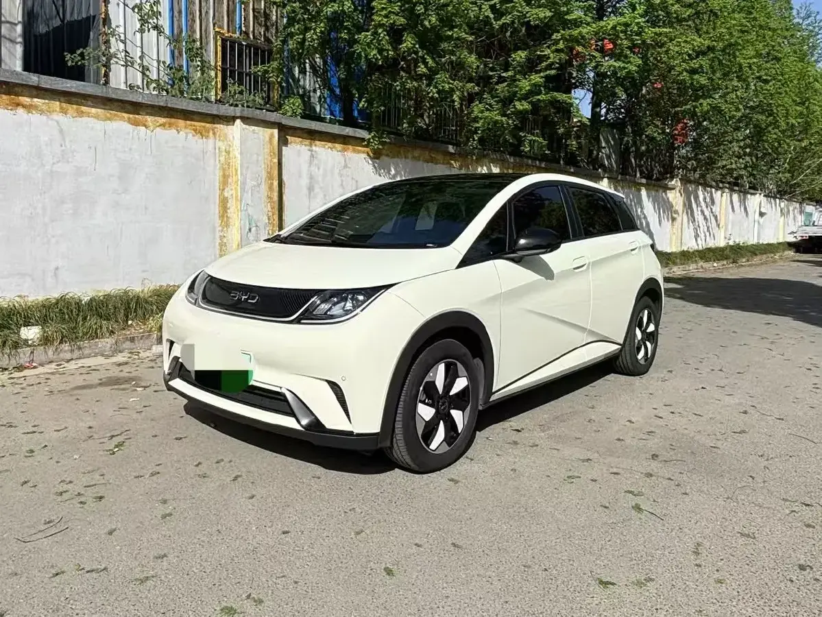 2024 BYD Dolphin BEV 44.928KWH
