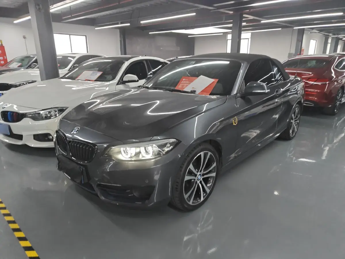 2019 BMW 2 Series 2.0T 184HP L4 8AT