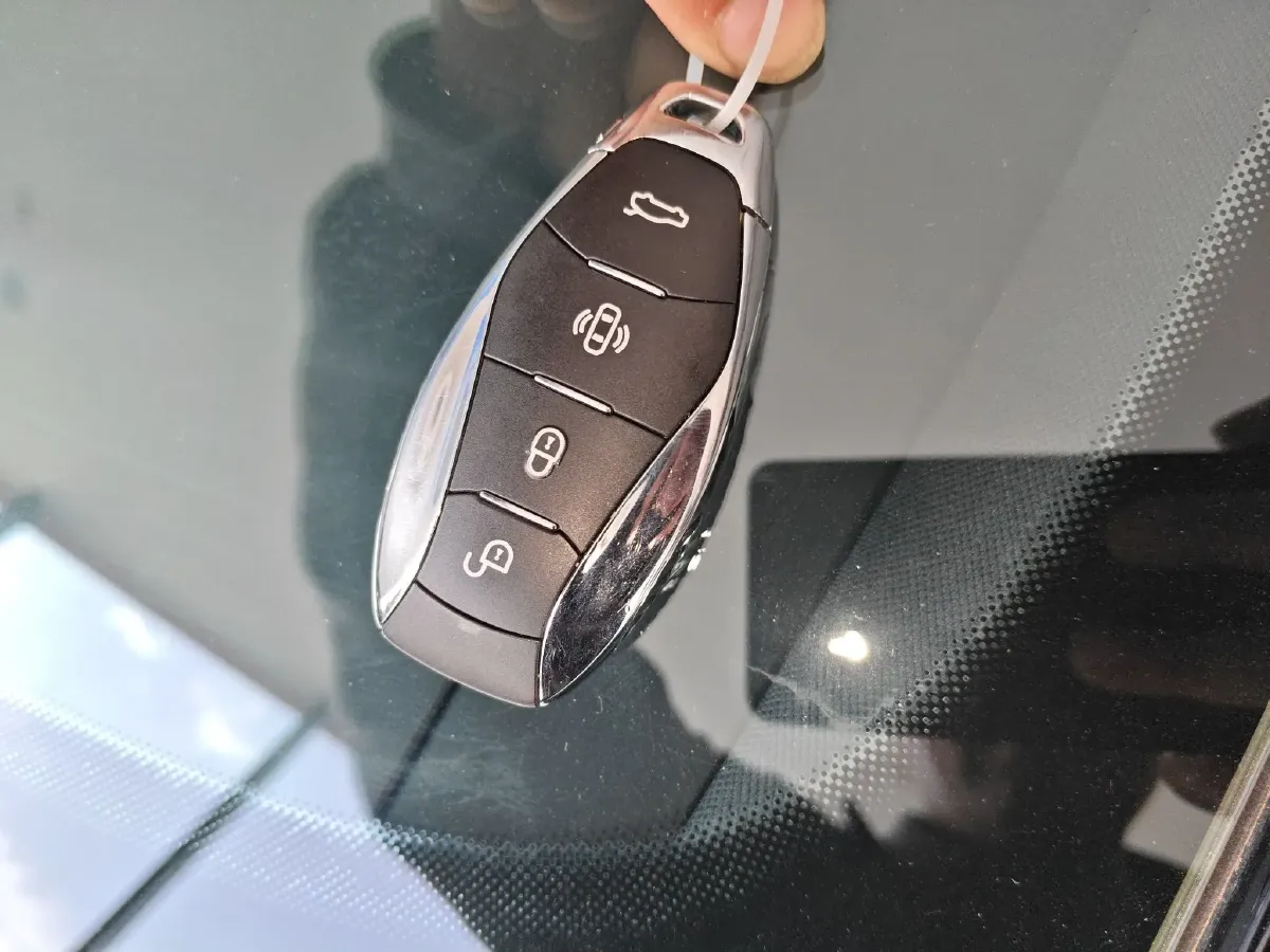 2024 HongQi EH7 BEV 111KWH,autocango,china used car exporter,china ev exporter,chinese used car exporter,chinese used ev exporter