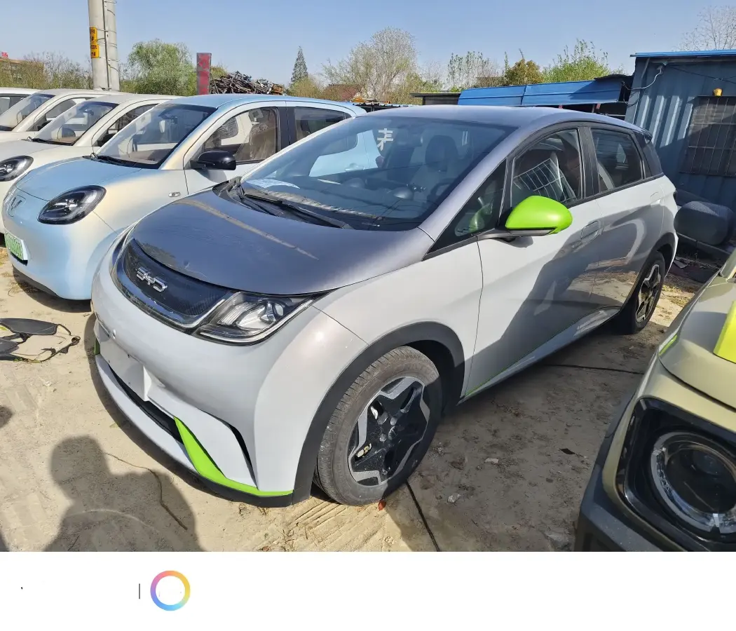 2021 BYD Dolphin BEV 44.9KWH