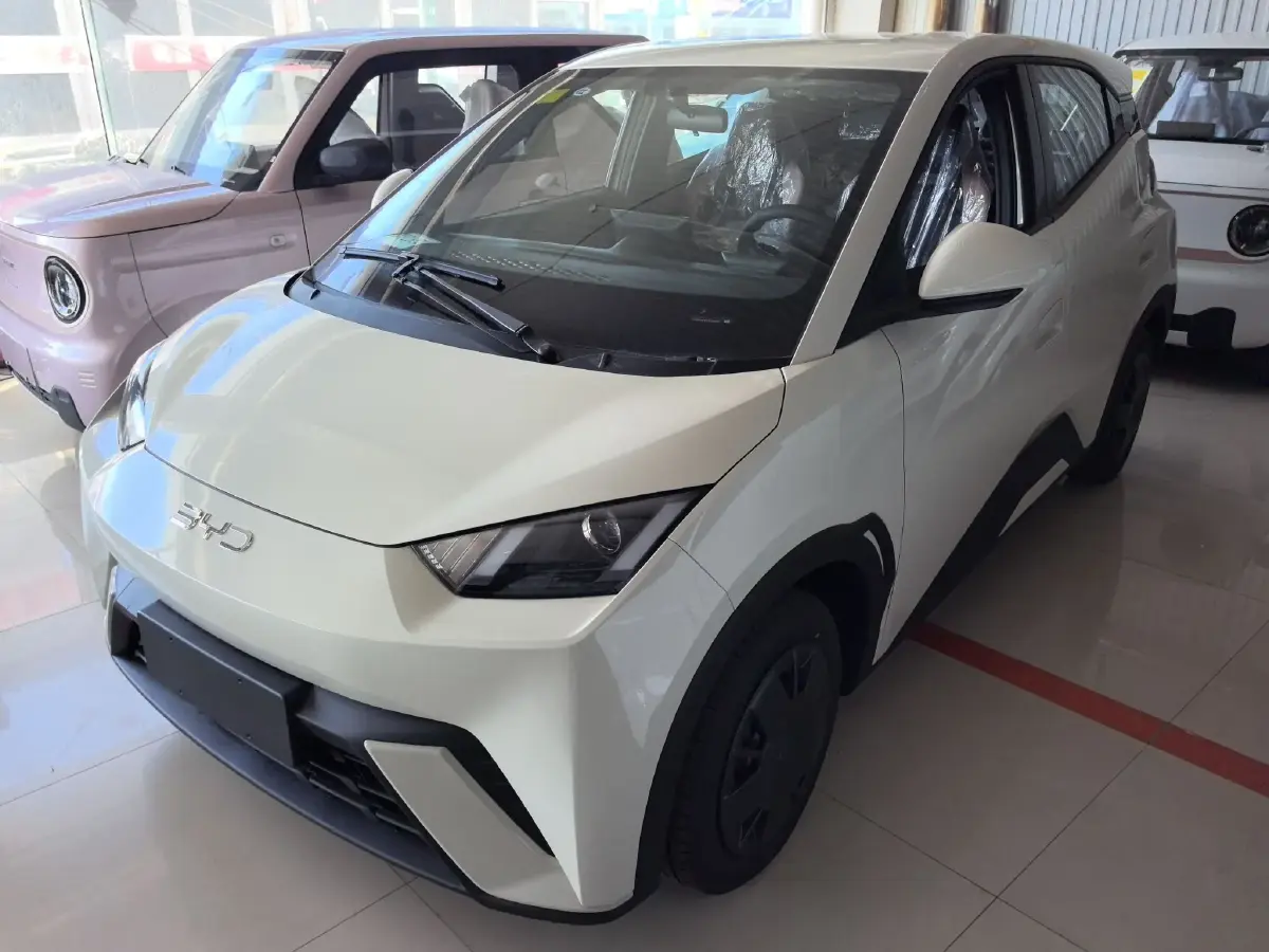 2025 BYD Seagull BEV 30.08KWH
