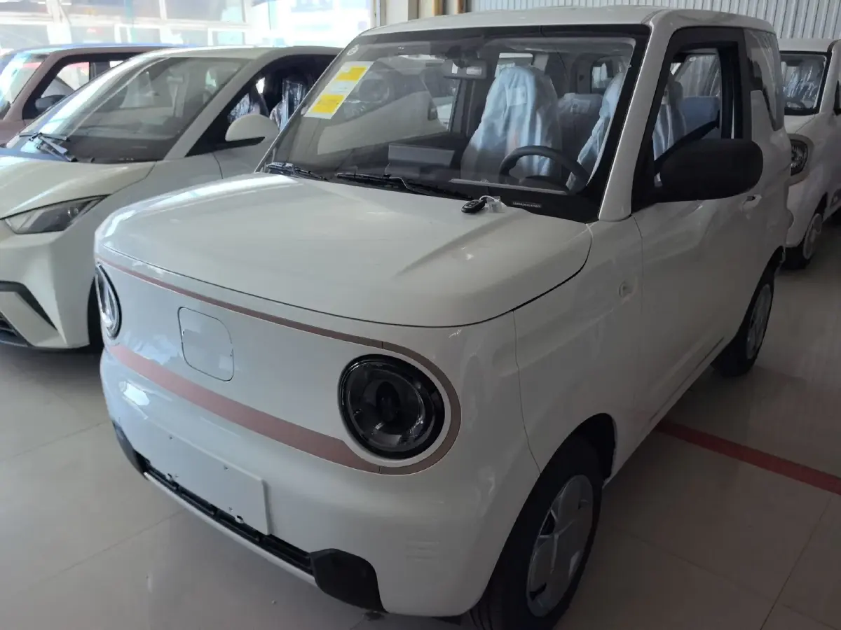 2024 Geely Galaxy Panda BEV 17.03KWH