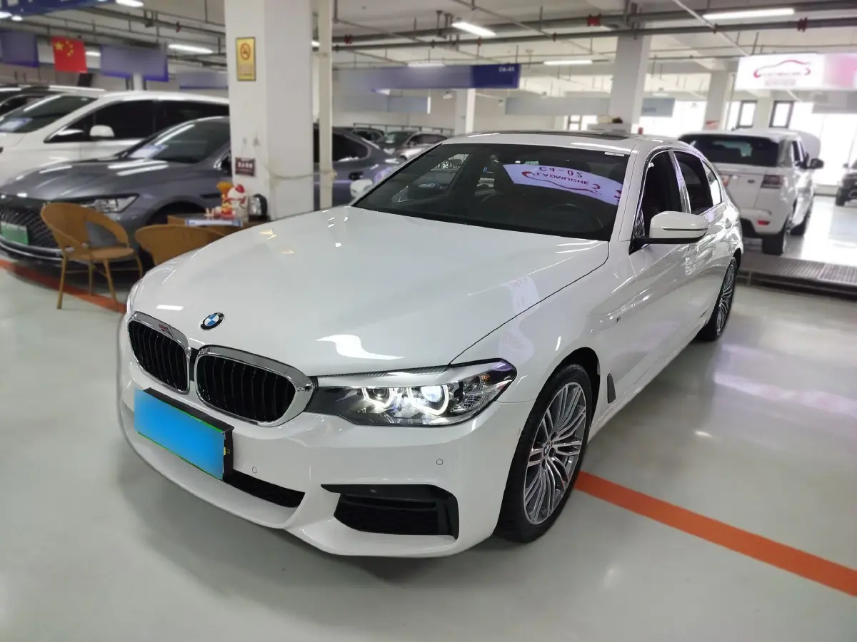 2019 BMW 5 Series 2.0T 252HP L4 8AT