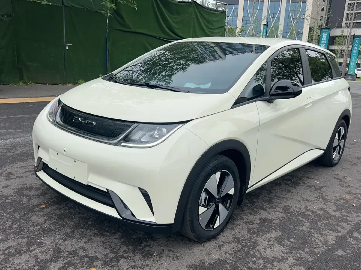 2023 BYD Dolphin BEV 44.928KWH