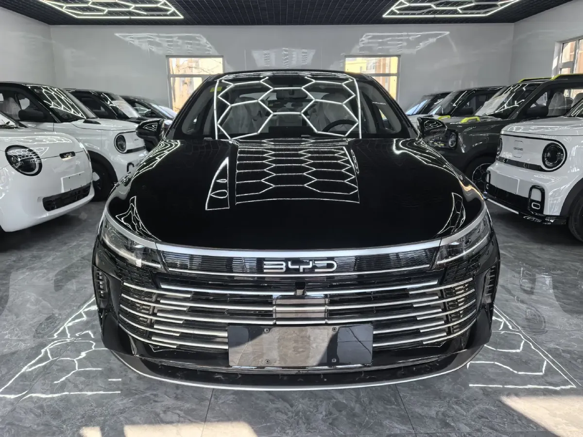 2024 BYD Destroyer 05 1.5L 110HP L4 E-CVT PHEV 8.3KWH,autocango,china used car exporter,china ev exporter,chinese used car exporter,chinese used ev exporter