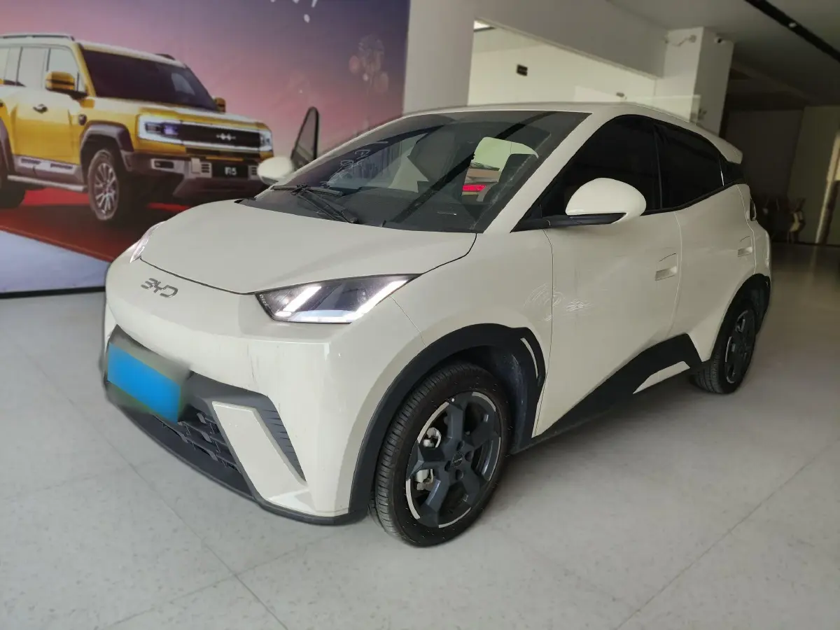 2024 BYD Seagull BEV 38.88KWH