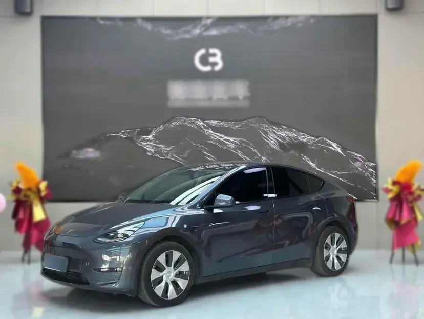 2021 Tesla Model Y BEV 76.8KWH