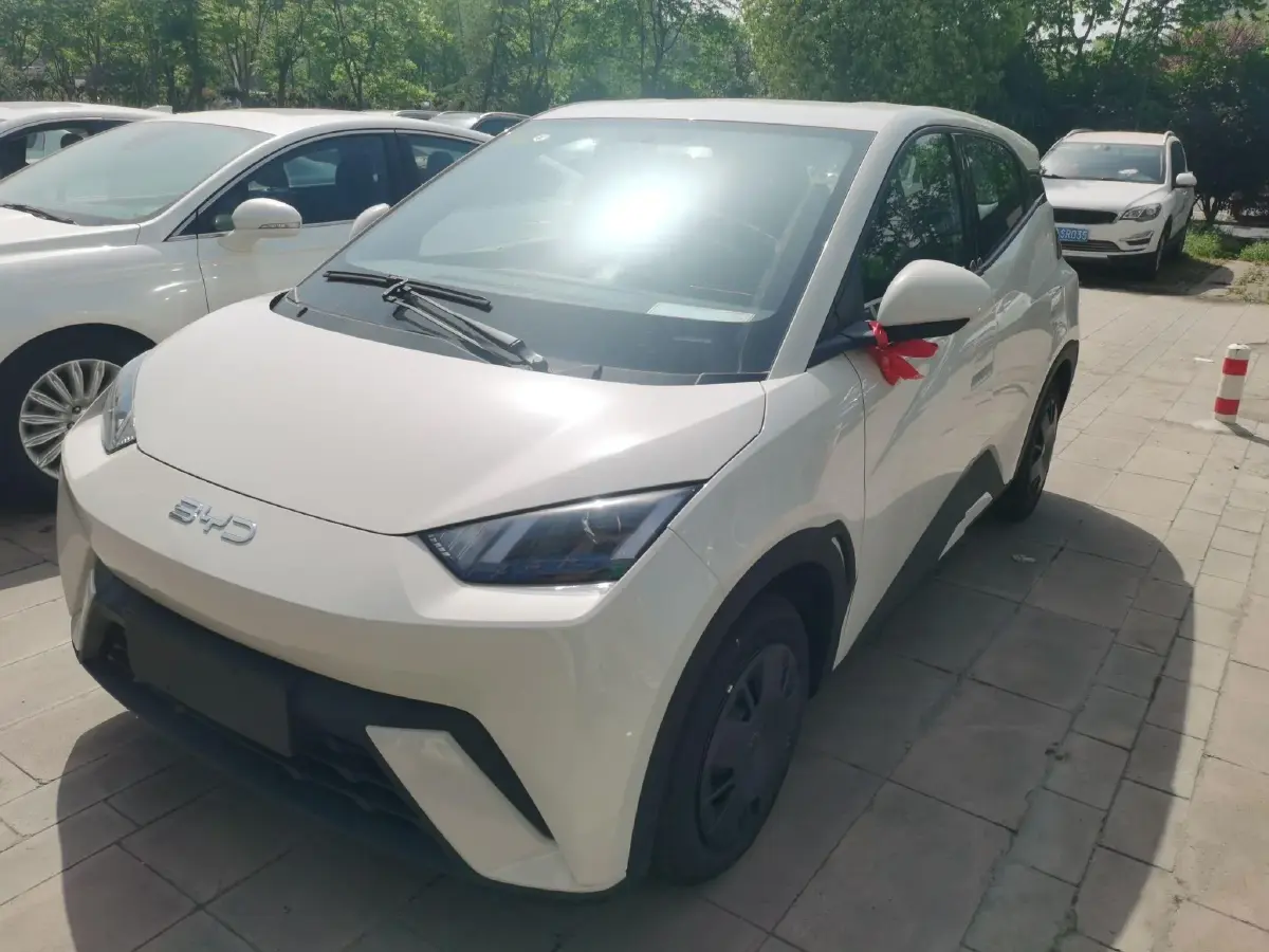 2025 BYD Seagull BEV 30.08KWH