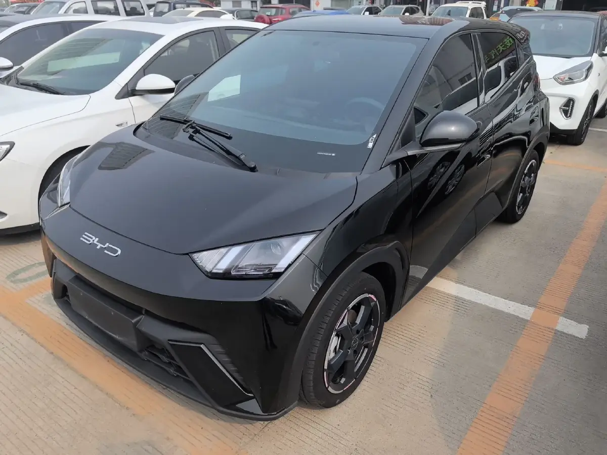 2024 BYD Seagull BEV 30.08KWH