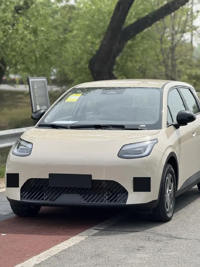 2025 Aion AION UT BEV 44.257/44.12/44.133KWH