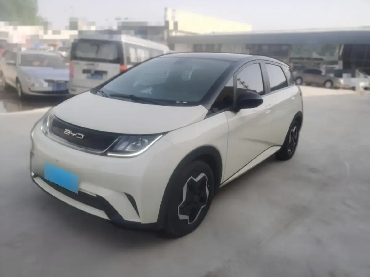 2021 BYD Dolphin BEV 44.9KWH