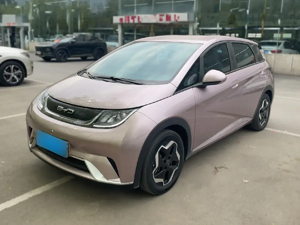 2021 BYD Dolphin BEV 44.9KWH