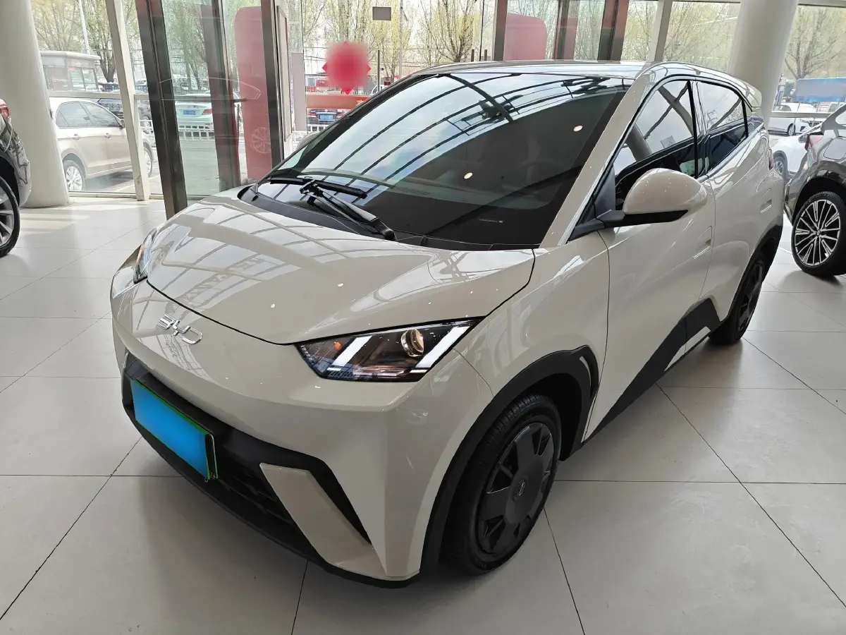 2025 BYD Seagull BEV 30.08KWH