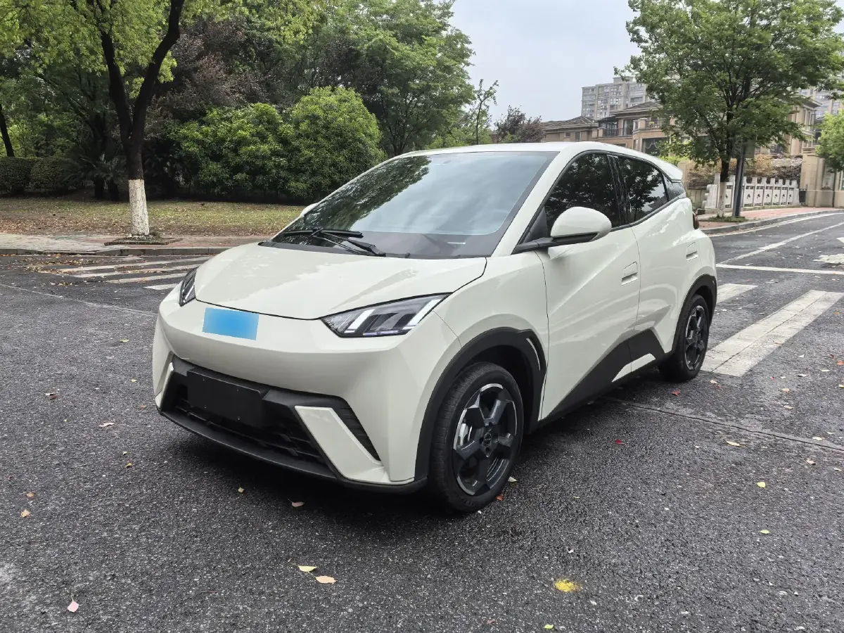 2023 BYD Seagull BEV 30.08KWH