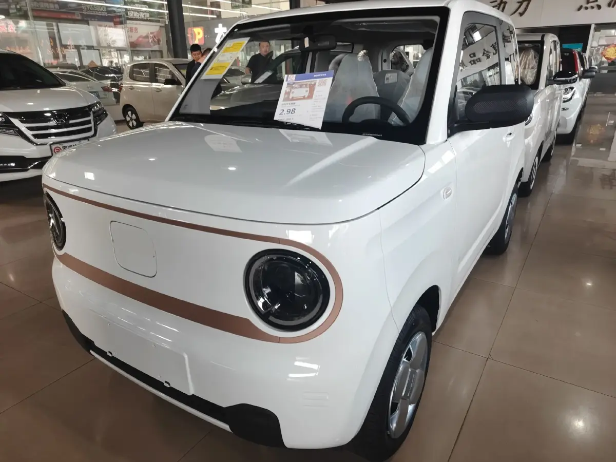 2024 Geely Galaxy Panda BEV 17.03KWH