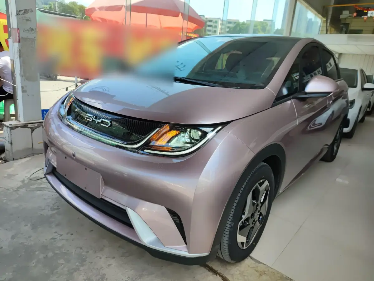 2021 BYD Dolphin BEV 44.9KWH