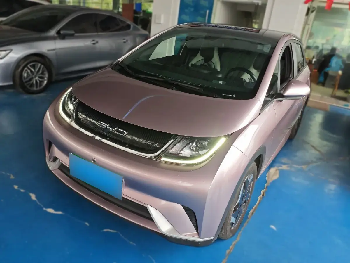2021 BYD Dolphin BEV 44.9KWH