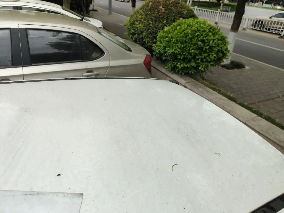 2012 ChangAn BenBen MINI 1.0L 69HP L4 5MT,autocango,china used car exporter,china ev exporter,chinese used car exporter,chinese used ev exporter