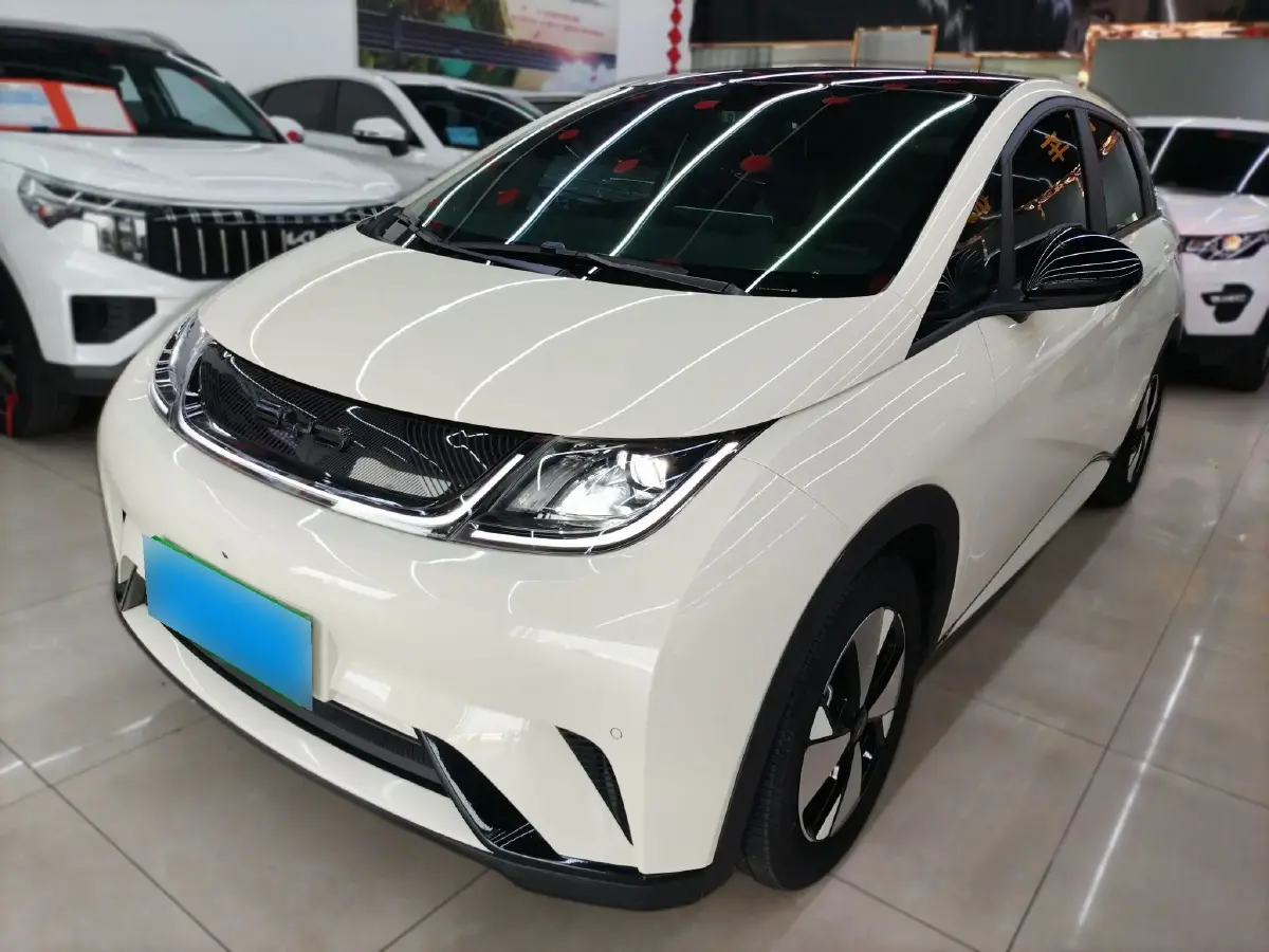 2023 BYD Dolphin BEV 44.928KWH