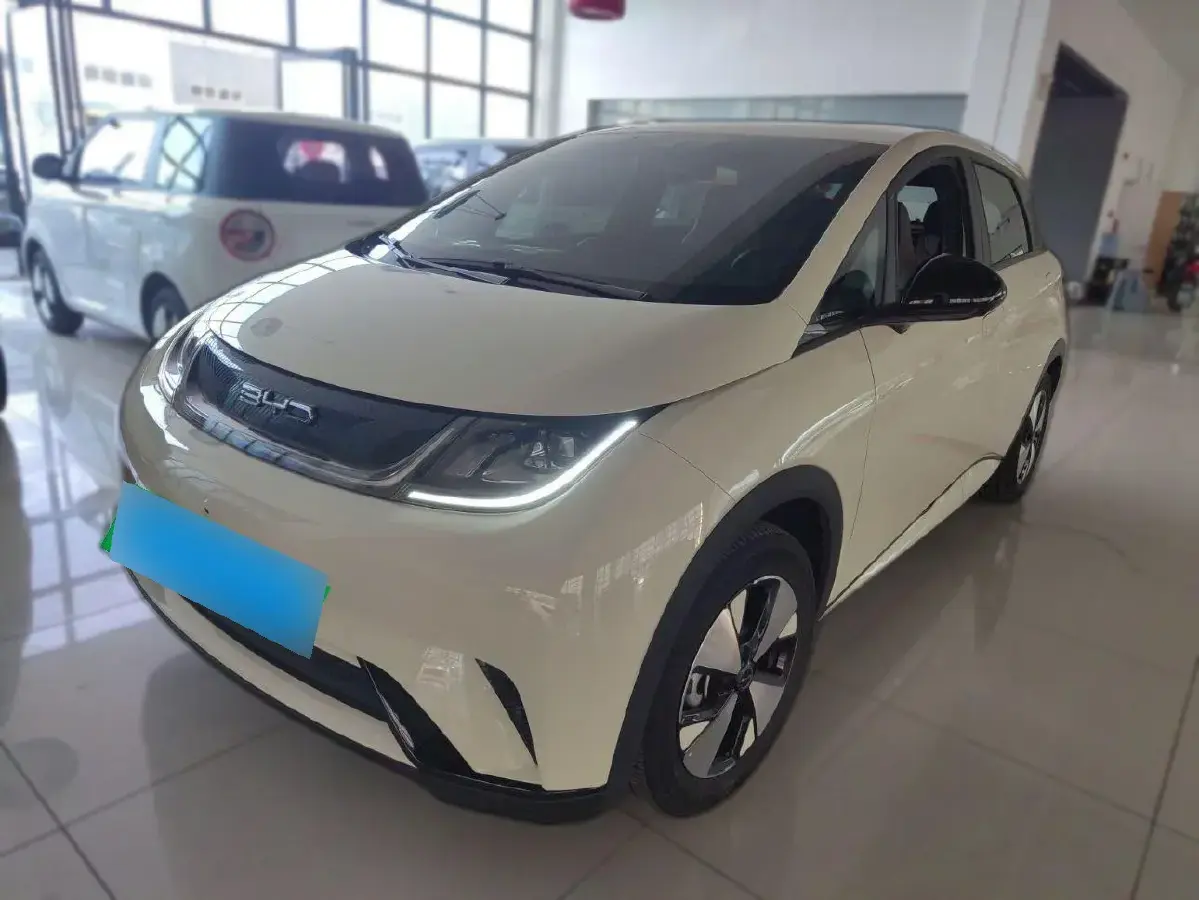 2023 BYD Dolphin BEV 44.928KWH