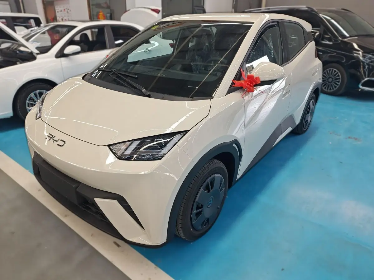 2025 BYD Seagull BEV 30.08KWH