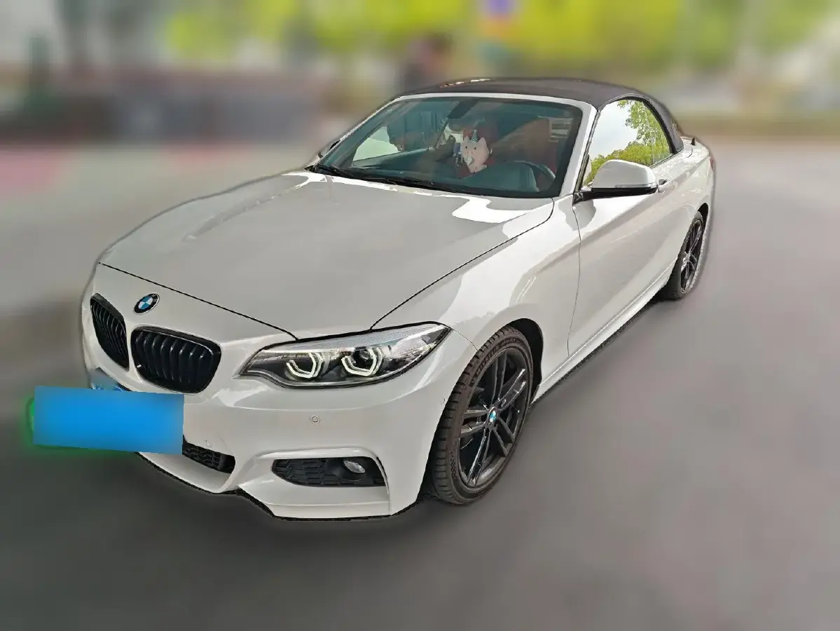 2019 BMW 2 Series 2.0T 184HP L4 8AT