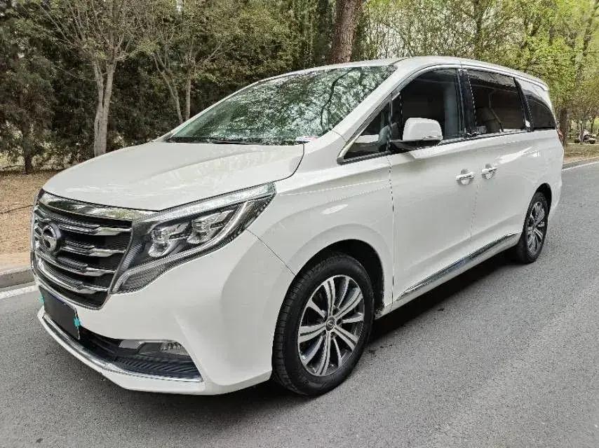 2018 GAC Trumpchi M8 2.0T 201HP L4 6AT