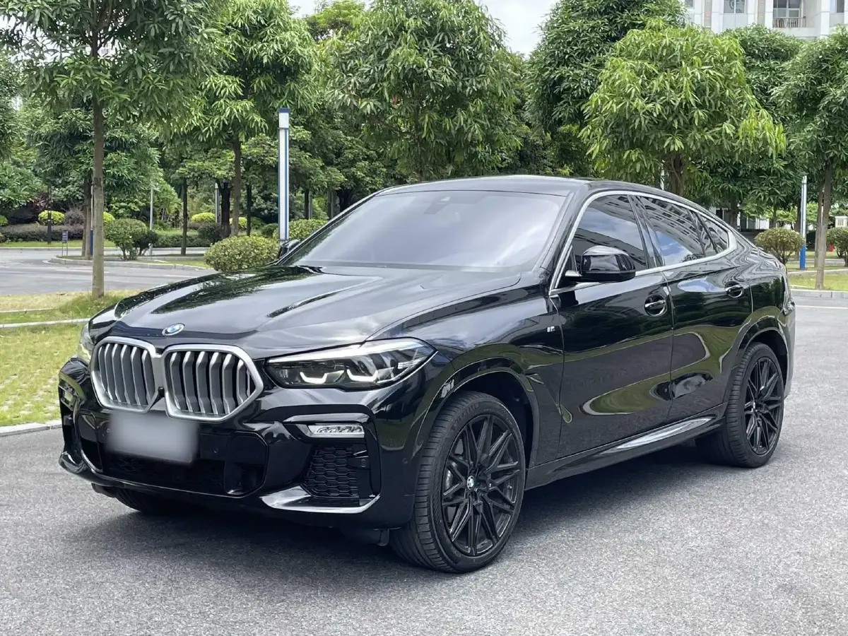 2021 BMW X6 2.0T 265HP L4 8AT