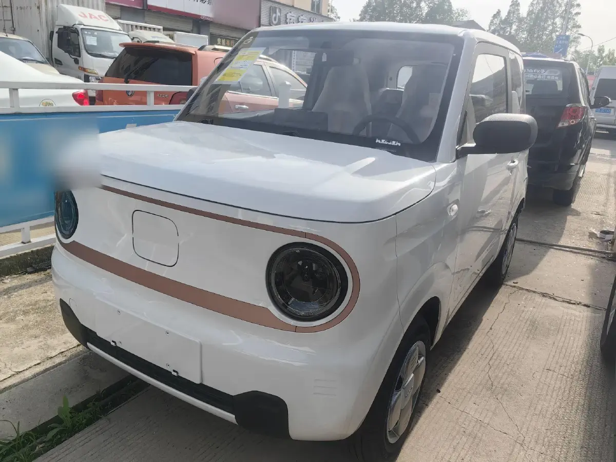 2024 Geely Galaxy Panda BEV 17.03KWH