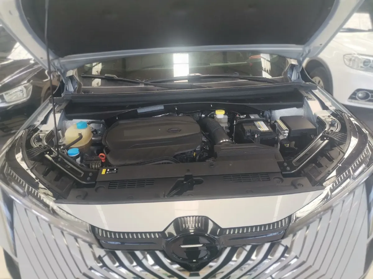 2022 GAC Trumpchi Emkoo 2.0T 252HP L4 8AT,autocango,china used car exporter,china ev exporter,chinese used car exporter,chinese used ev exporter