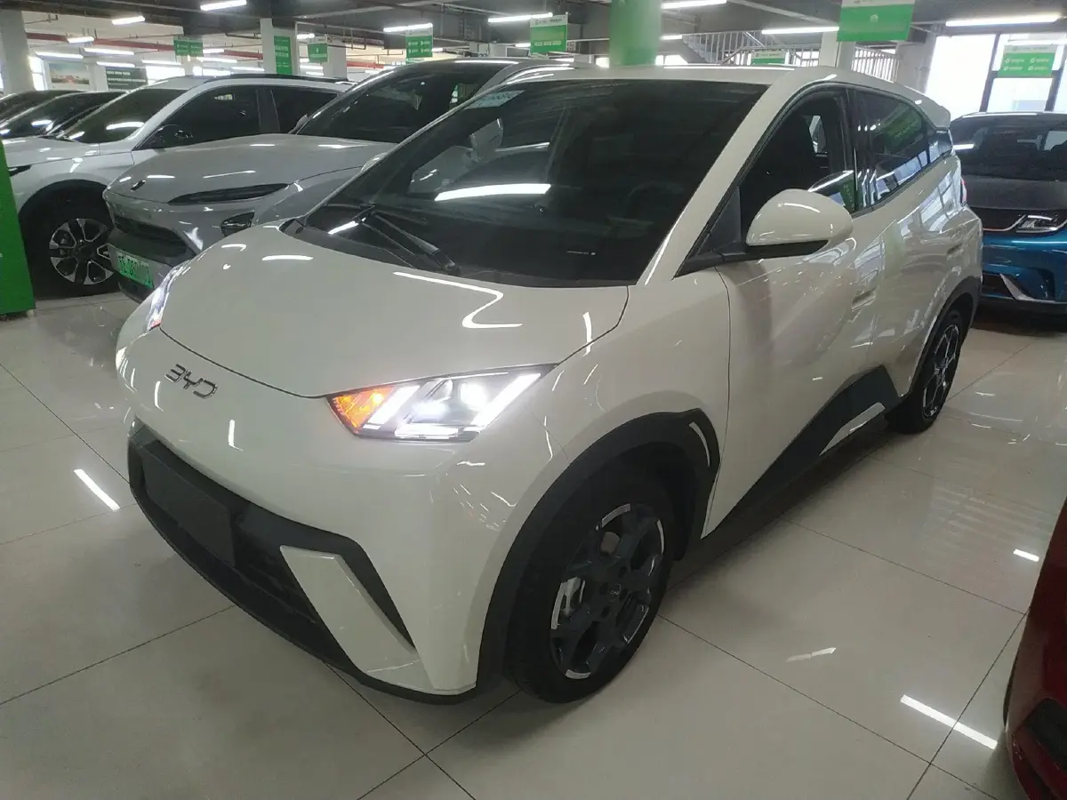 2025 BYD Seagull BEV 30.08KWH