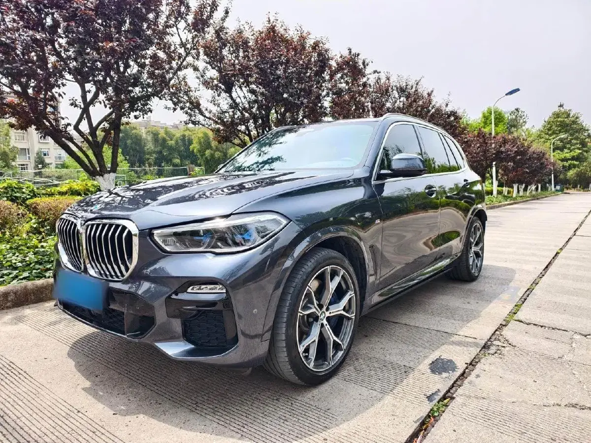 2019 BMW X5 3.0T 340HP L6 8AT