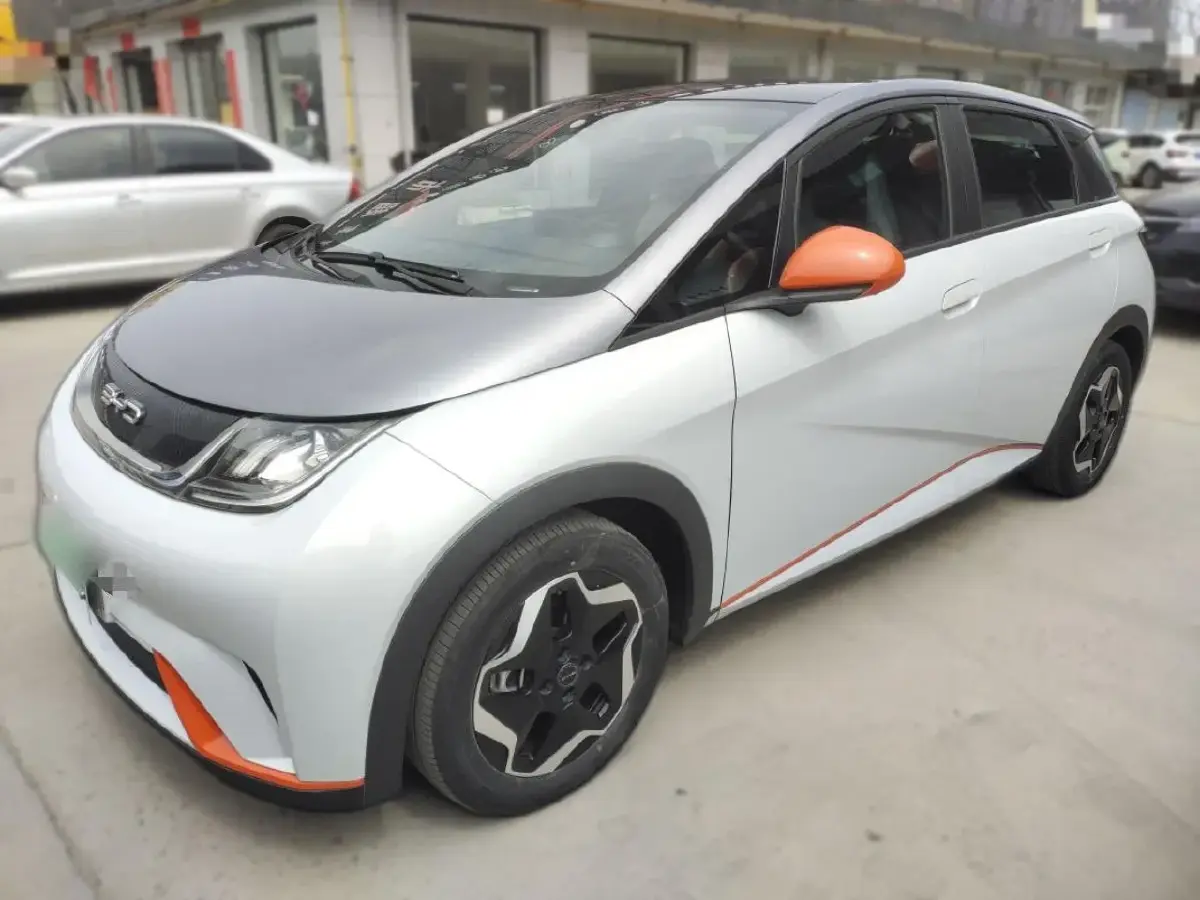 2021 BYD Dolphin BEV 44.9KWH