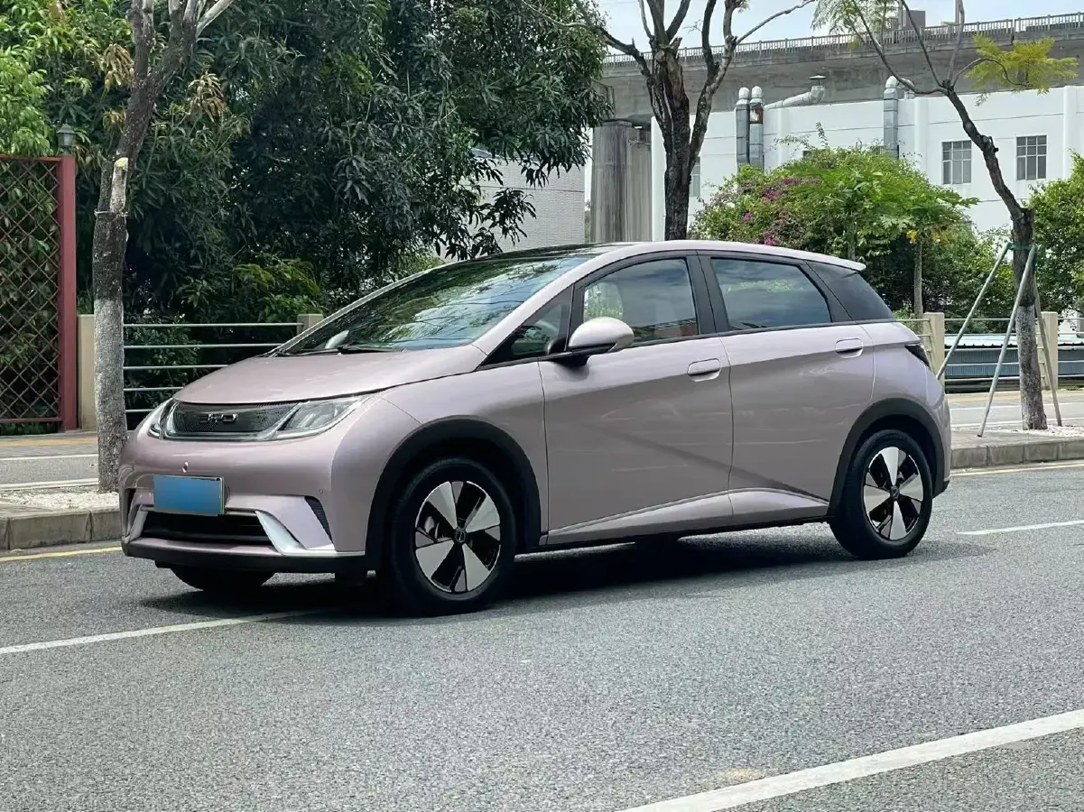 2023 BYD Dolphin BEV 44.928KWH