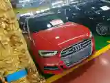 2019 Audi S3 2.0T 290HP L4 7DCT
